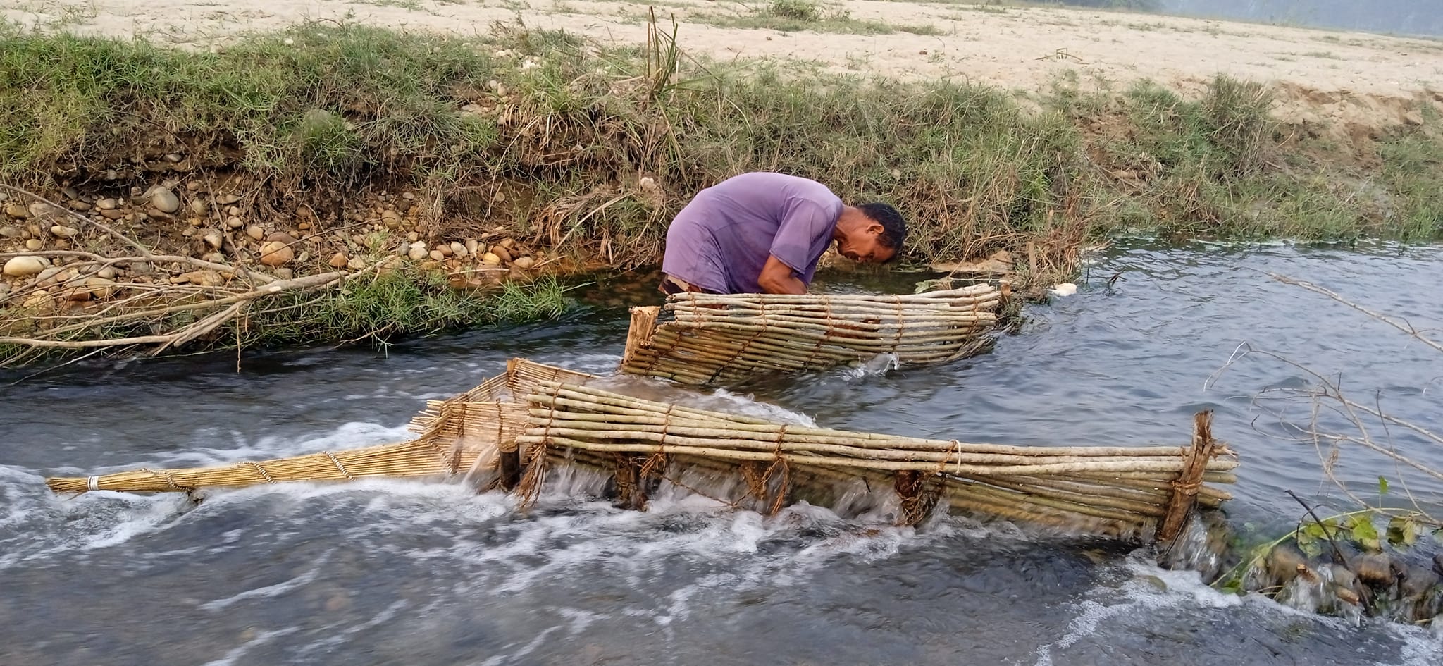 मछ्छरगिढ्ढिन